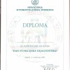 Diploma - Krešimir Dadić (10)