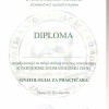 Diploma - Krešimir Dadić (11)