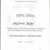 Diploma - Krešimir Dadić (21)