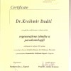 Diploma - Krešimir Dadić (28)