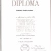 Diploma - Krešimir Dadić (7)
